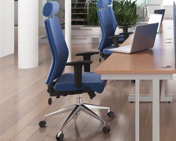 Ergonomic Posture Chairs
