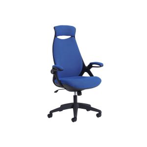 Roche Fabric High Back Executive Chair With Headrest Blue