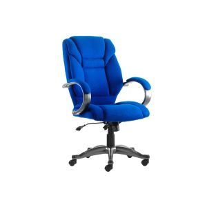 Fiji Fabric Executive Chair (Blue)